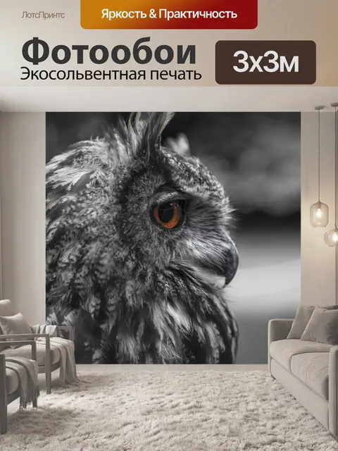 Фотообои Птица - Сова