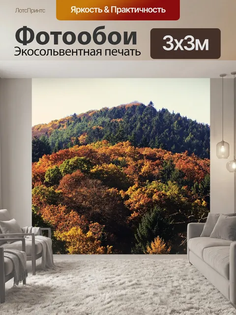 Фотообои Лес