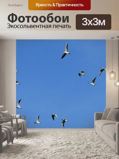 Фотообои Чайки