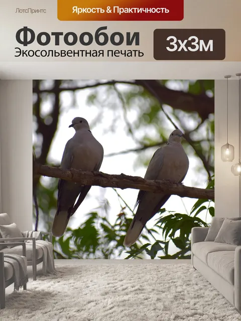 Фотообои Природа