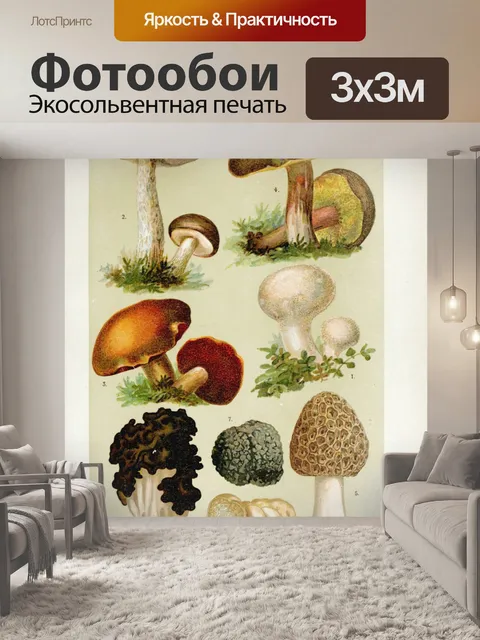 Фотообои Винтажная иллюстрация грибов чемпиона