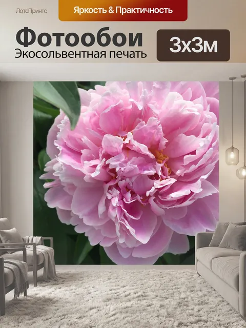Фотообои Цветы