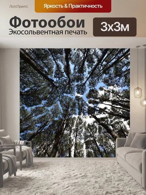 Фотообои Деревья
