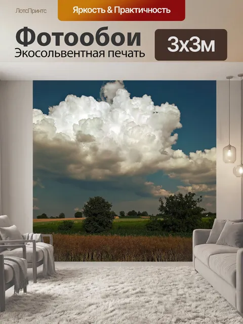 Фотообои Поля