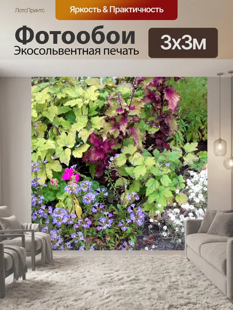 Фотообои осенние цветы