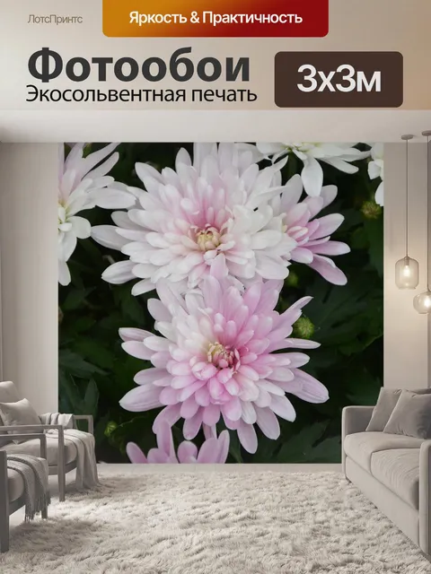 Фотообои Цветы