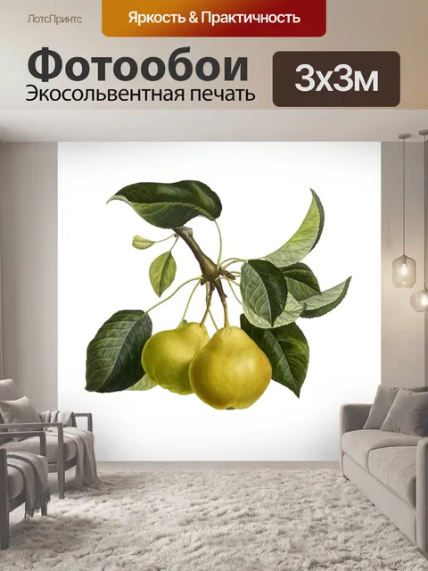 Фотообои Плоды груши винтажные