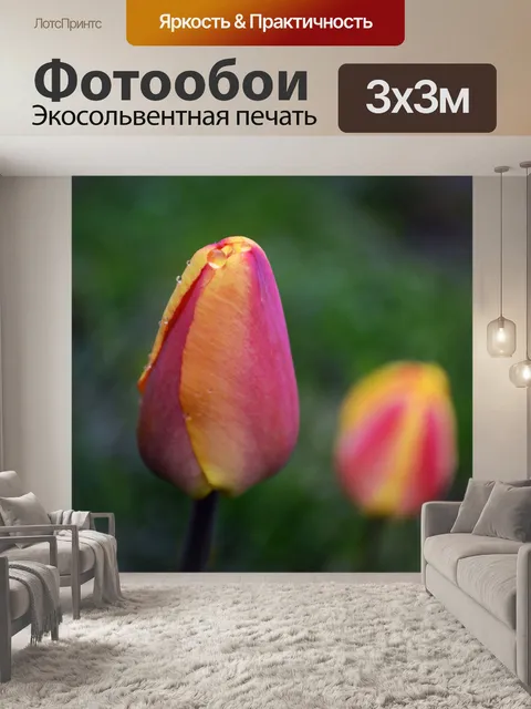 Фотообои тюльпаны