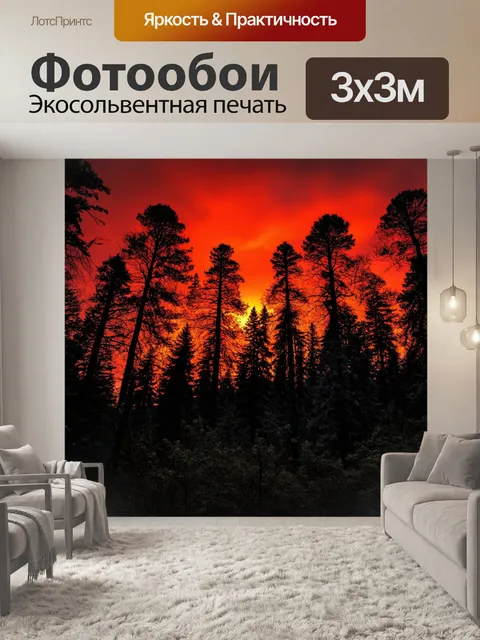 Фотообои лес с закатным небом, багровым и оранжевым на фоне темных деревьев
