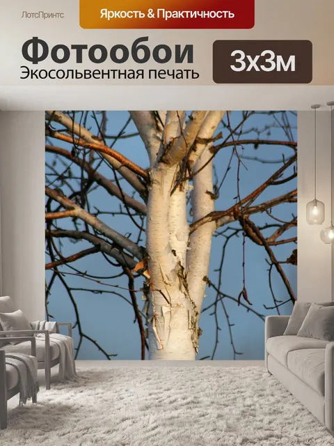 Фотообои Дерево