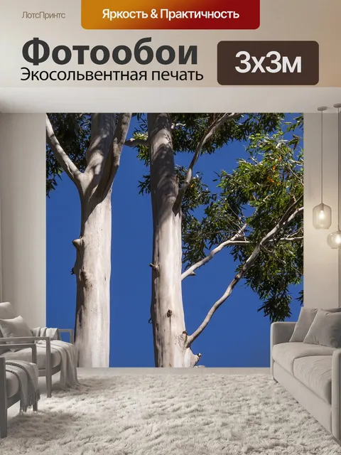 Фотообои Деревья