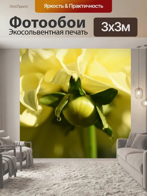 Фотообои Георгин