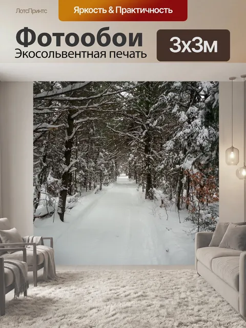 Фотообои Тропинка в лесу