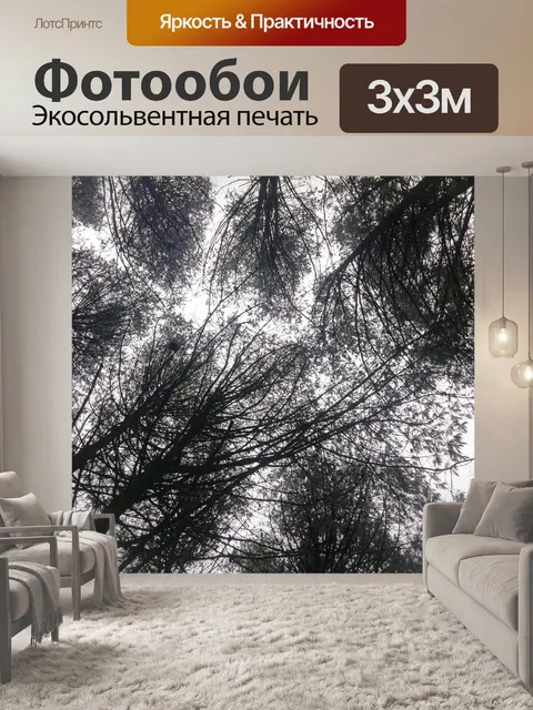 Фотообои Деревья