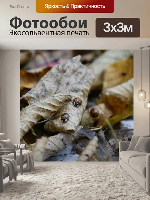 Фотообои Листья