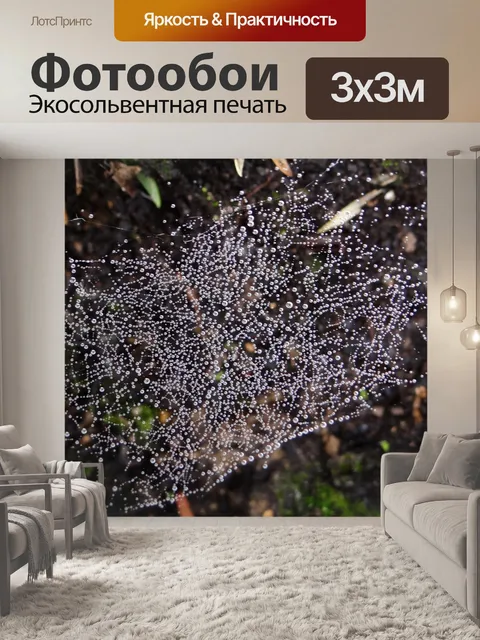 Фотообои Росы 2