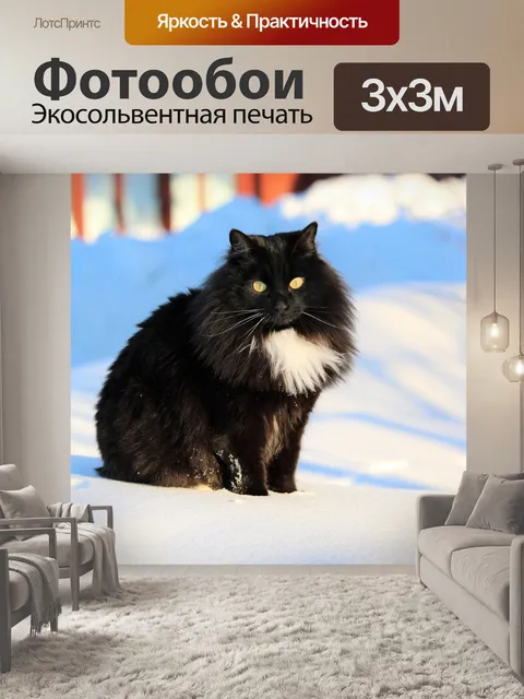 Фотообои Кошка