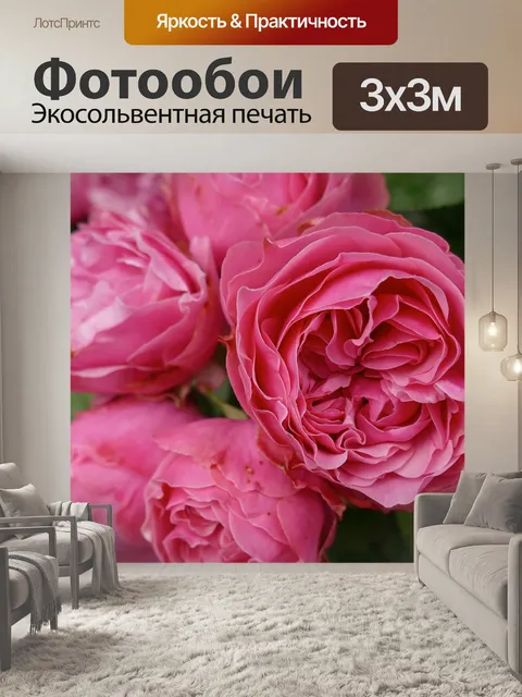 Фотообои Розы