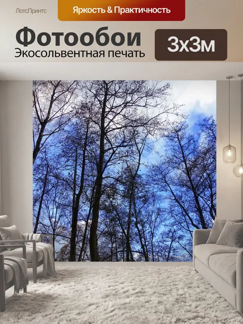 Фотообои Деревья