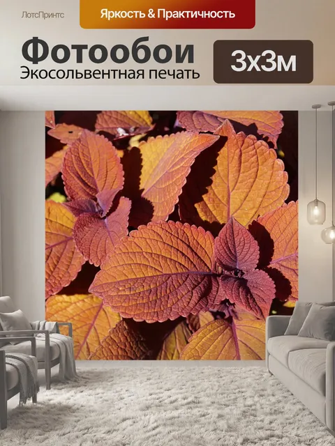 Фотообои Листья