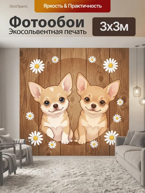Фотообои Две чихуахуа с ромашками