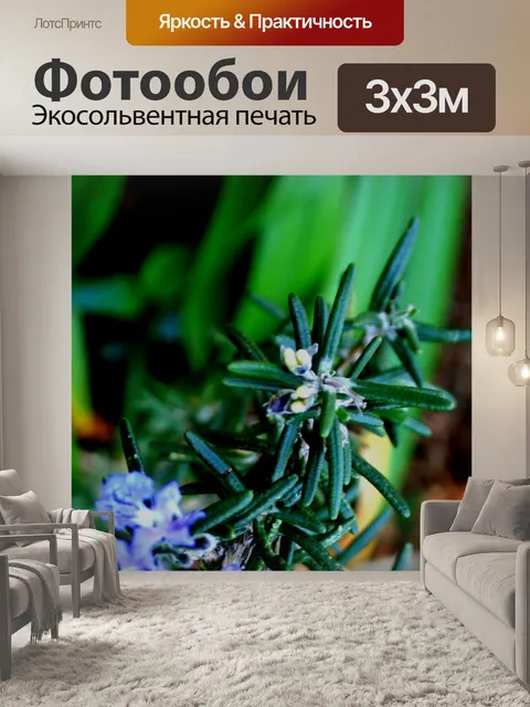 Фотообои Розмари веточка