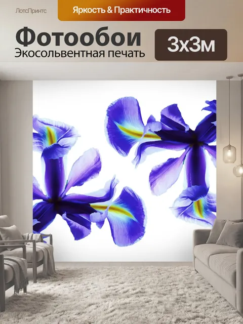 Фотообои Цветок