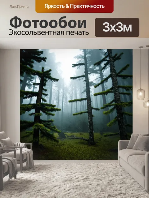 Фотообои в густом лесу, пропитанном утренним туманом, сосны величественно возвышаются, их иглы сверкают каплями росы