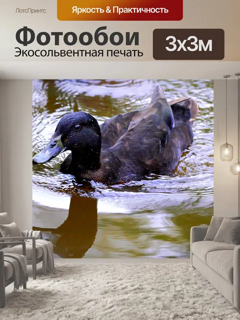 Фотообои Утка