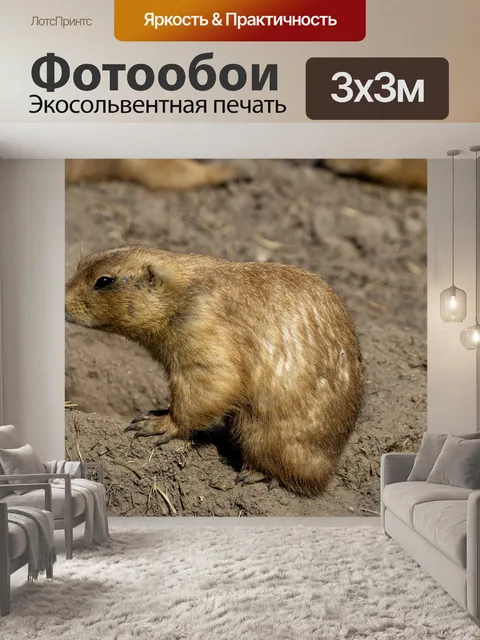 Фотообои Природа