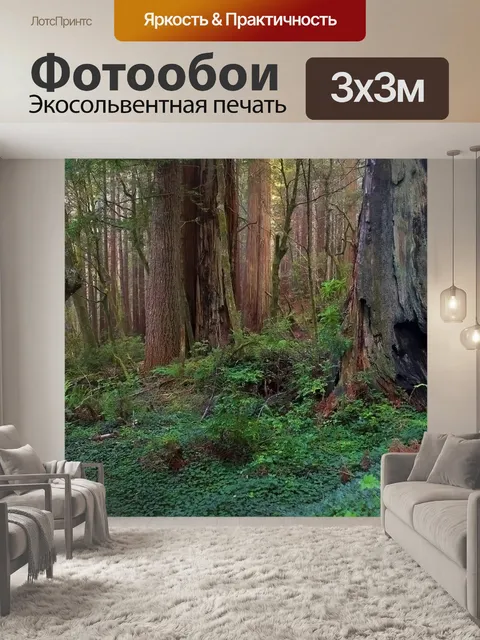 Фотообои Лес