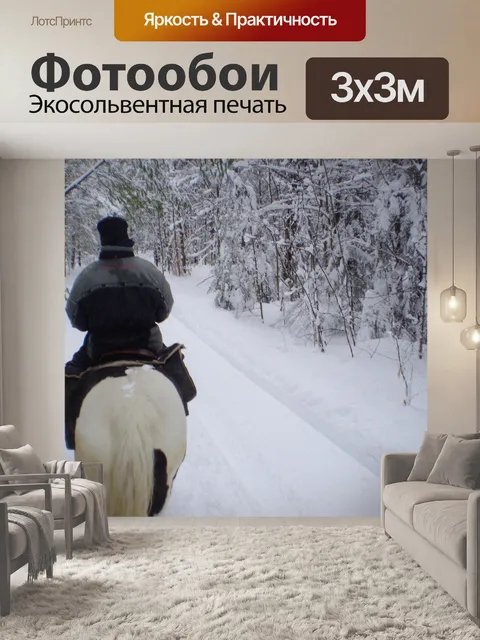 Фотообои Зимние Верховая езда
