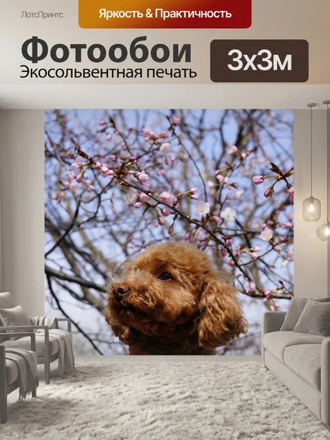 Фотообои Собака