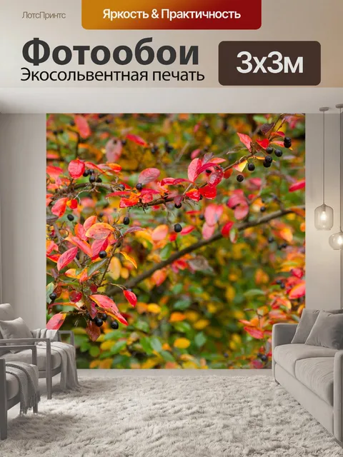 Фотообои осень