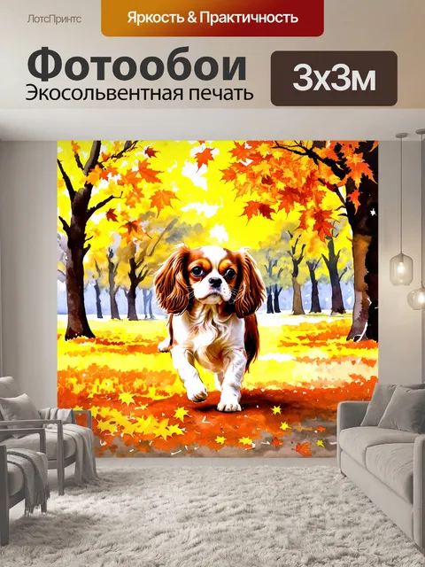 Фотообои изображение собаки кавалер кинг чарльз спаниель