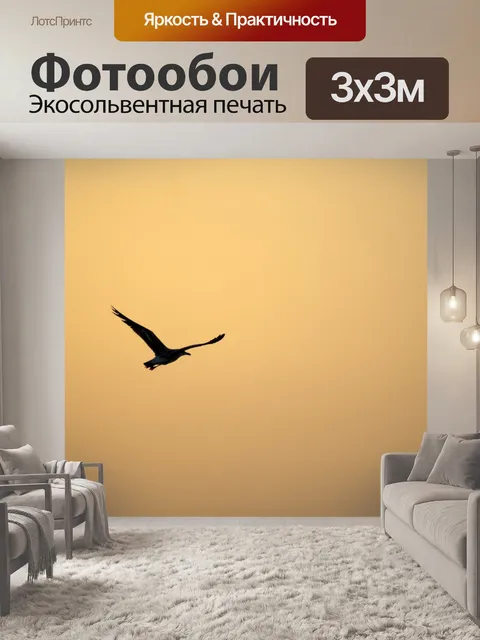 Фотообои Полет на закате