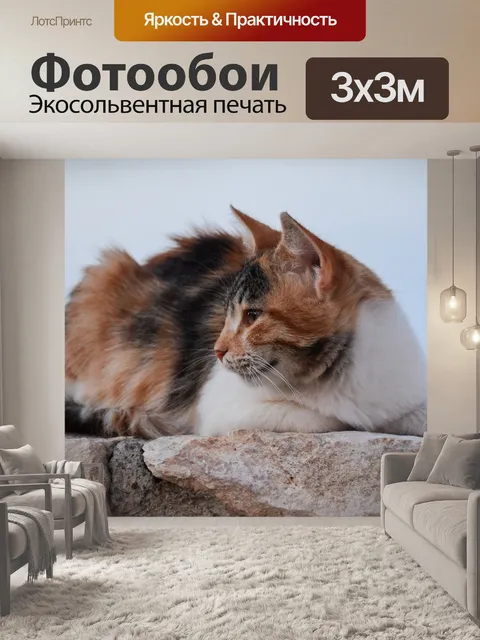 Фотообои Кошка кошки