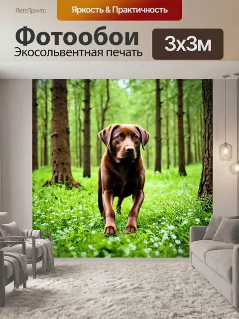 Фотообои лабрадор, исследующий лес, зелёная трава и деревья, любопытство и приключение