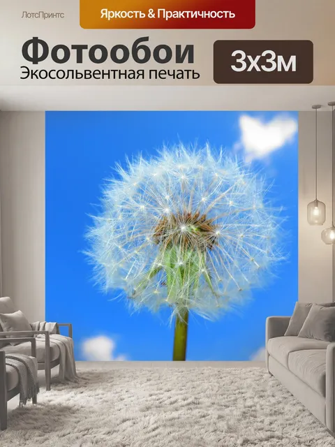 Фотообои Одуванчик