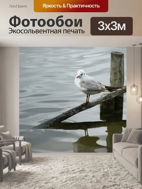 Фотообои Птиц