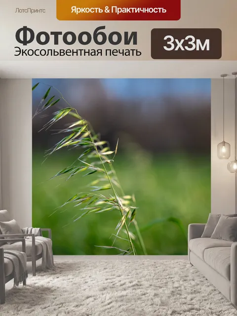 Фотообои Трава, травинка