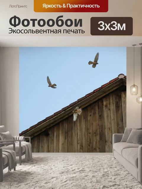 Фотообои Птицы