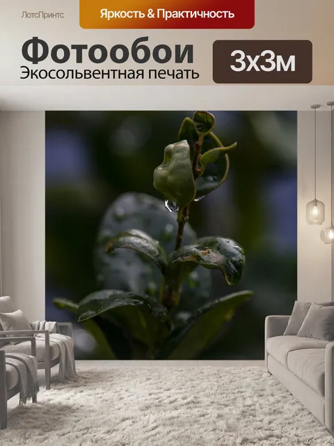 Фотообои Фон капли темного листа