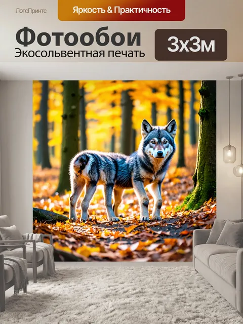 Фотообои волчата, исследующие лес в осенний день