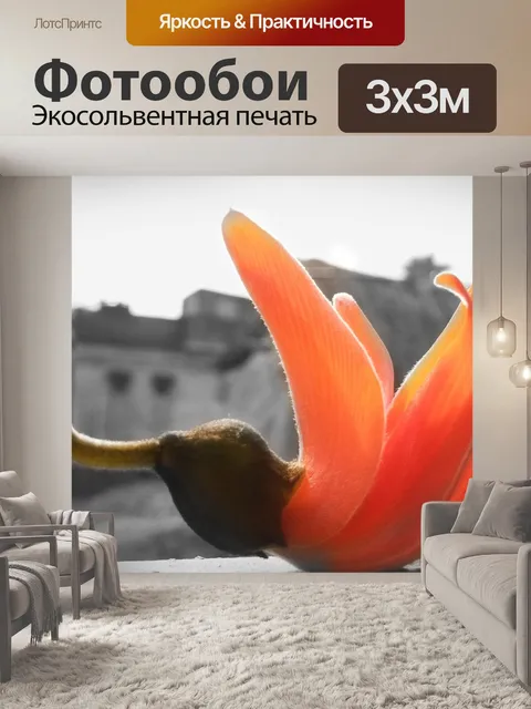 Фотообои Рабочий стол