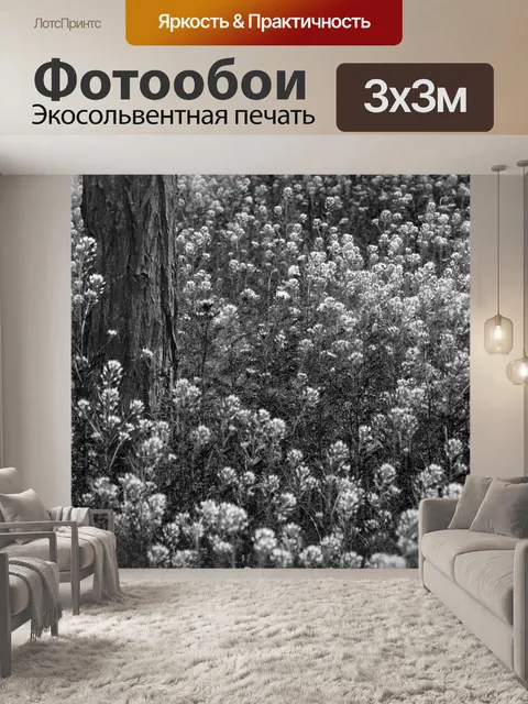 Фотообои Деревья