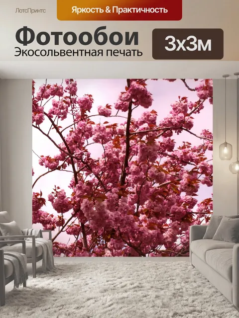 Фотообои Вишневые деревья Blossom