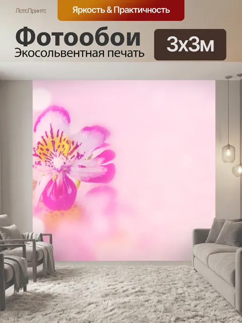 Фотообои Орхидея