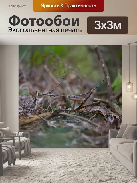 Фотообои грибы