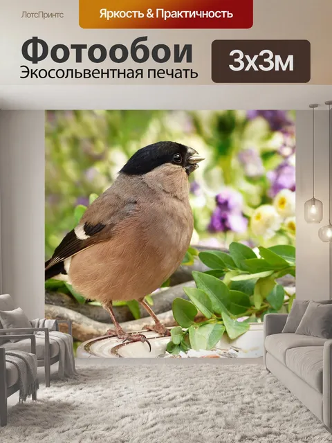 Фотообои Животное